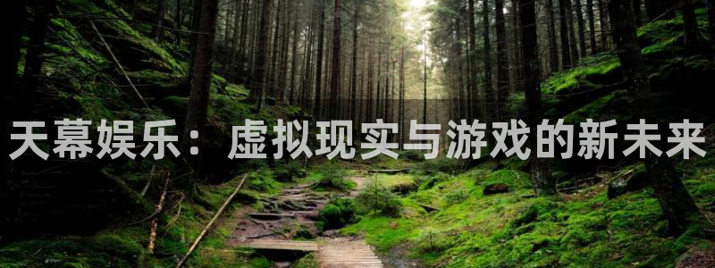 顺盈娱乐：天幕娱乐：虚拟现实与游戏的新未来