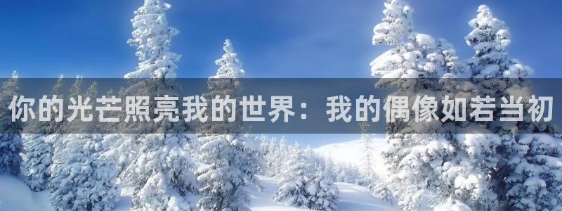 顺盈娱乐：你的光芒照亮我的世界：我的偶像如若当初