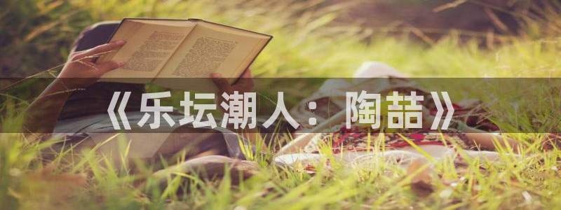 顺盈娱乐：《乐坛潮人：陶喆》