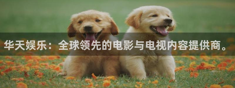 顺盈娱乐：华天娱乐：全球领先的电影与电视内容提供商。