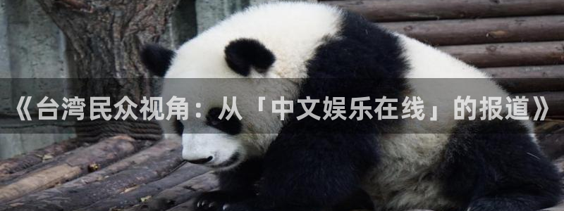 顺盈娱乐