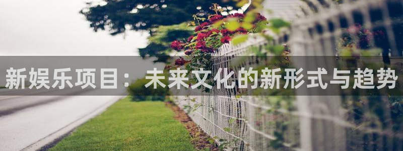 顺盈娱乐：新娱乐项目：未来文化的新形式与趋势