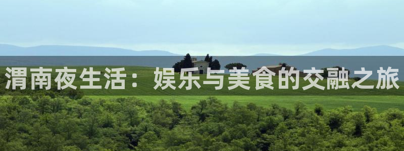 顺盈娱乐：渭南夜生活：娱乐与美食的交融之旅