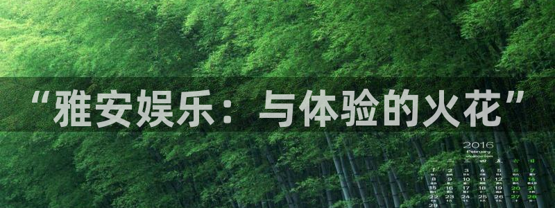 顺盈娱乐：“雅安娱乐：与体验的火花”