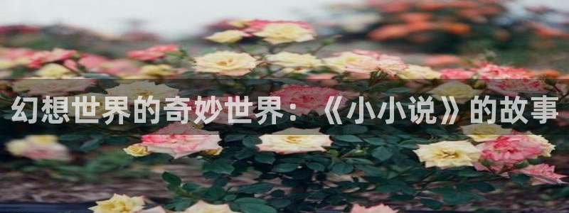 顺盈娱乐：幻想世界的奇妙世界：《小小说》的故事