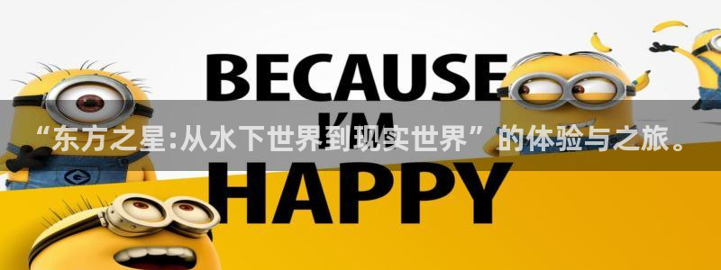 顺盈娱乐：“东方之星:从水下世界到现实世界”的体验与之旅。