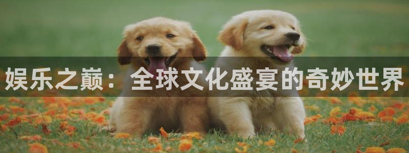 顺盈娱乐：娱乐之巅：全球文化盛宴的奇妙世界