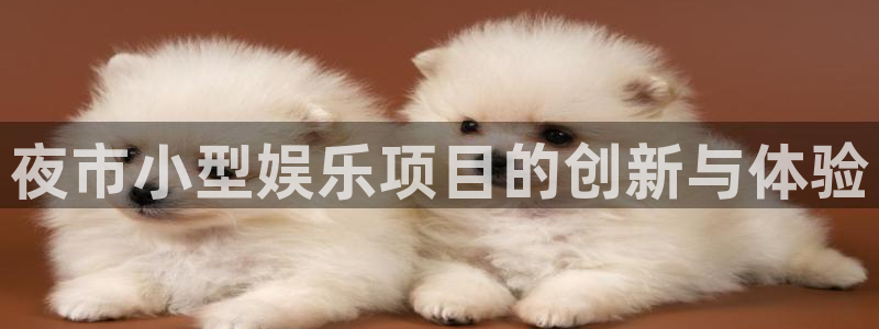 顺盈娱乐：夜市小型娱乐项目的创新与体验