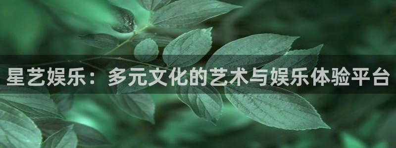 顺盈娱乐：星艺娱乐：多元文化的艺术与娱乐体验平台