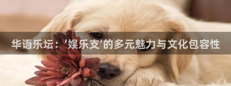 顺盈娱乐