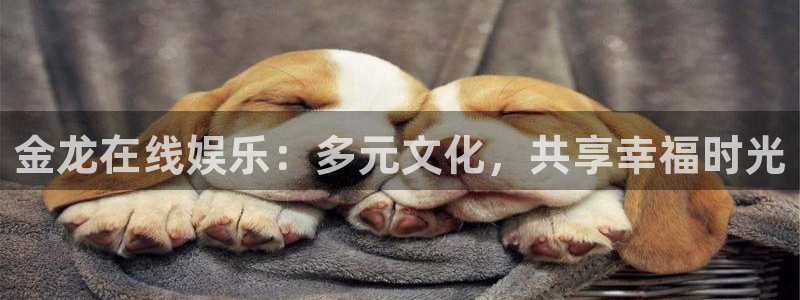 顺盈娱乐：金龙在线娱乐：多元文化，共享幸福时光