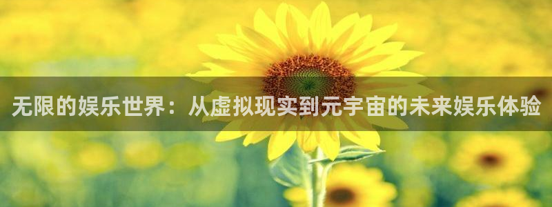 顺盈娱乐：无限的娱乐世界：从虚拟现实到元宇宙的未来娱乐体验